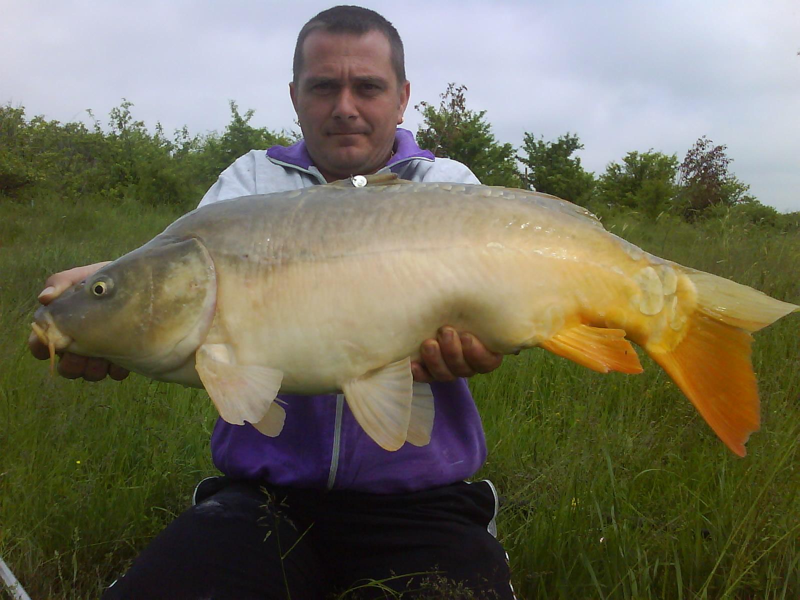 fishing carp - dsc00355.JPG